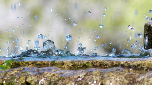 Regenwater opvangen