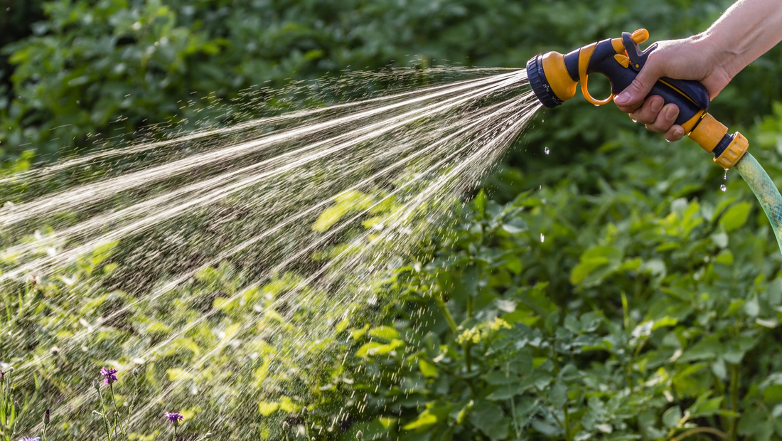 De verschillende mogelijkheden om regenwater op te vangen