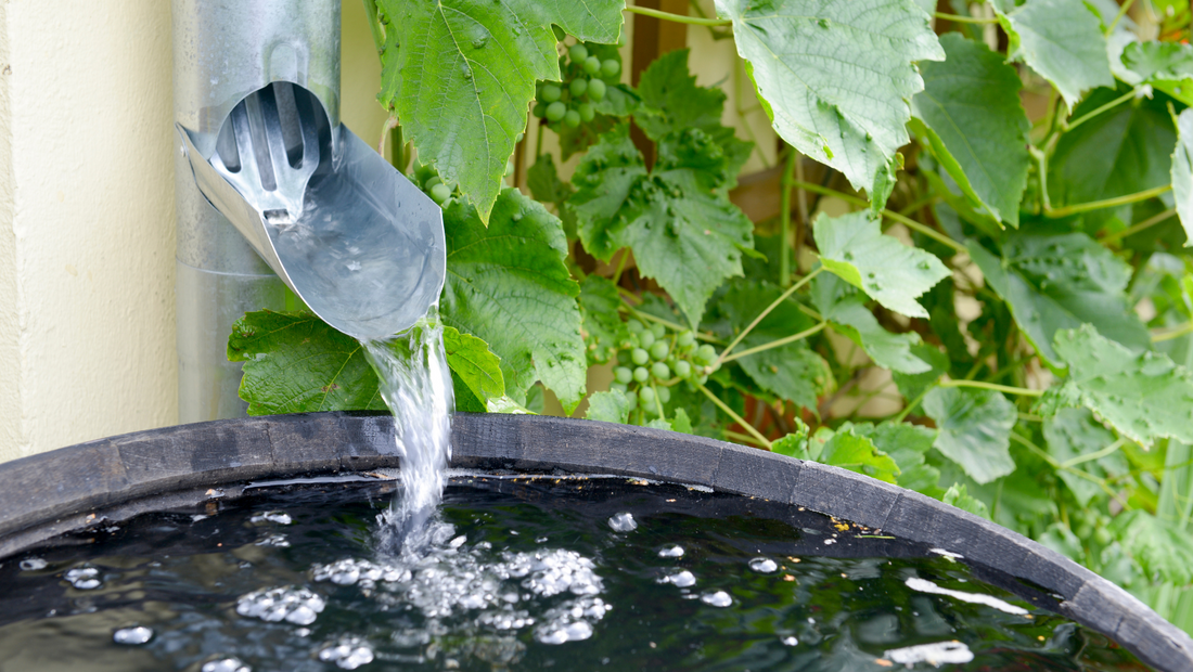 Regenwater vs. kraanwater: Wat kun je waarvoor gebruiken?
