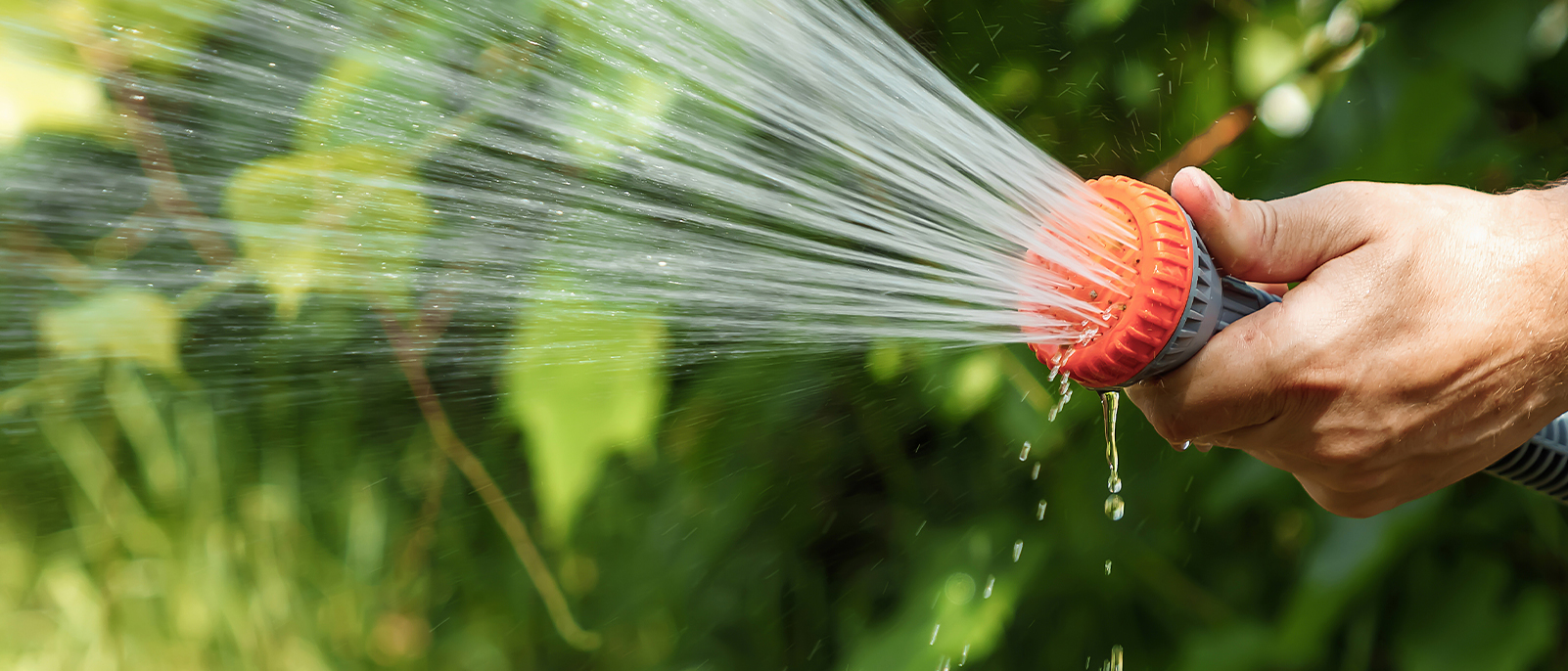 Save the rain, sla water op voor gebruik in de tuin
