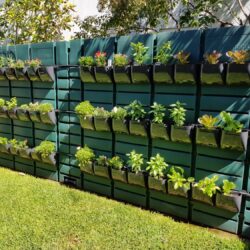 Vertical garden met SavetheRain