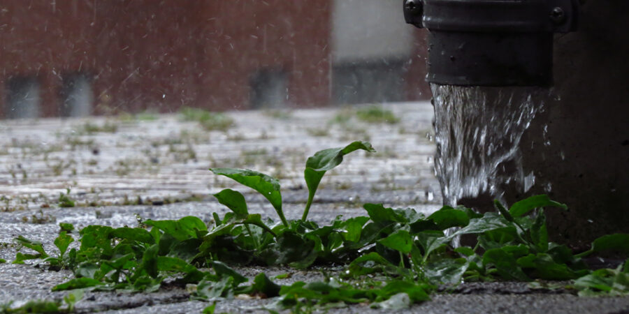 Wateroverlast-in-de-tuin-voorkomen-Save-the-rain nu!